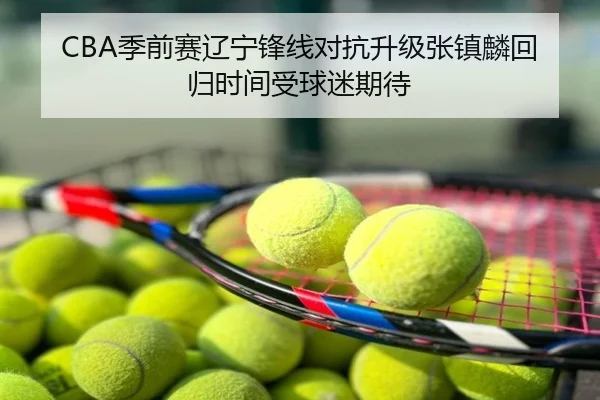 CBA季前赛辽宁锋线对抗升级张镇麟回归时间受球迷期待
