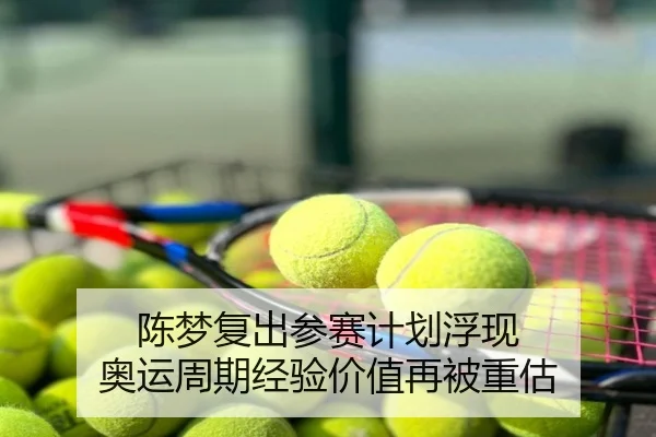 陈梦复出参赛计划浮现 奥运周期经验价值再被重估